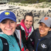 Kelly Hayes '19, Mary Adams ?17, and Briana Leon ?17 on the beach with penguins on Boulder Beach