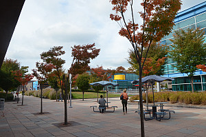Campus in the Fall