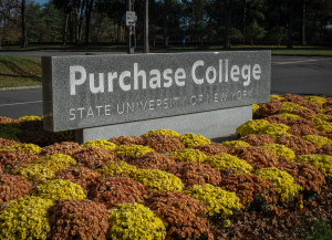 Purchase College sign at front with orange and gold mums.