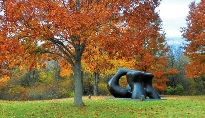 Sculpture by Henry Moore, Large Two Forms, under trees near the entrance in fall.