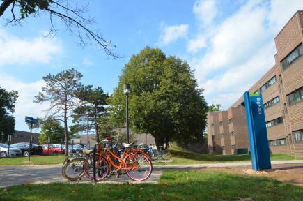 Bikes in front of Big Haus