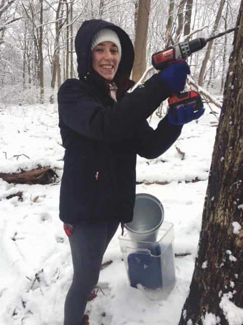 Camille drilling tree for tapping