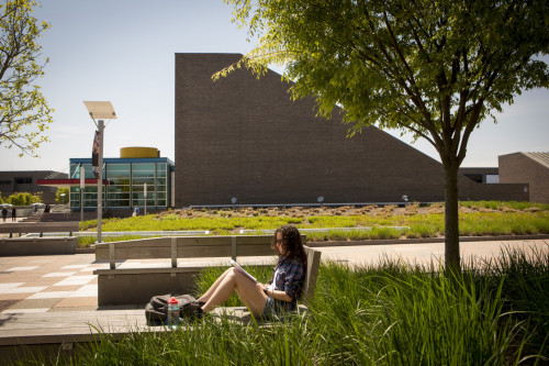 Campus Student Reading on Mall