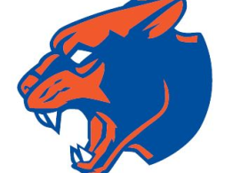 Panther Head Logo