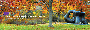Continuing Education Fall Banner