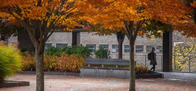 Student walking on campus under fall trees