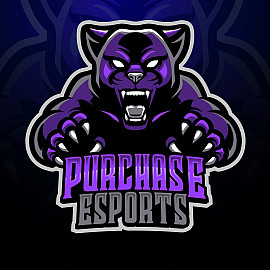 Purchase College Esports Logo