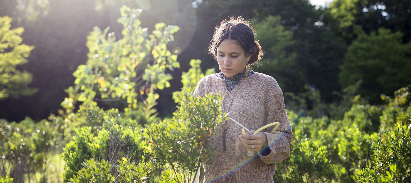 Student conducts fieldwork in the Environmental Studies program