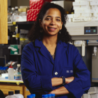 Jill Bargonetti '85