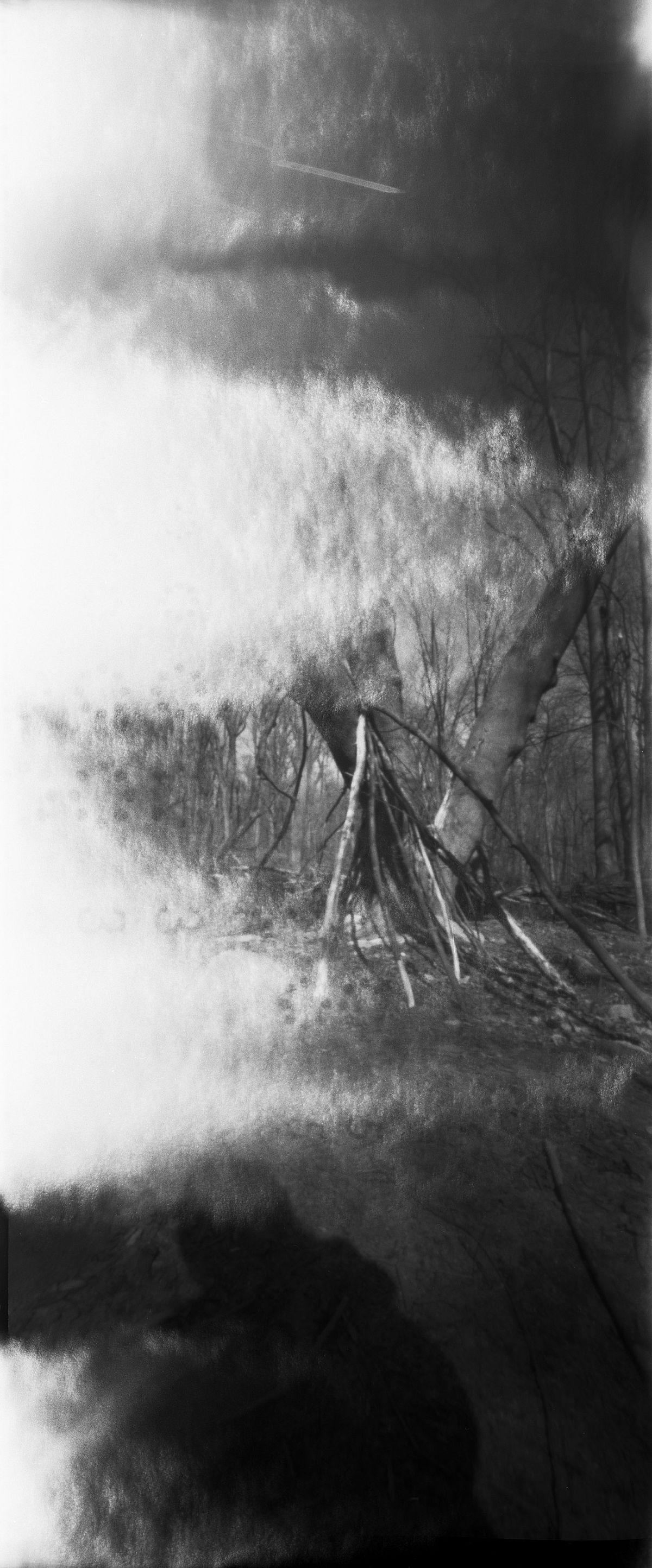 Lauren Improte, Structure 1, 120 film pinhole camera, 7 x 15, 2021