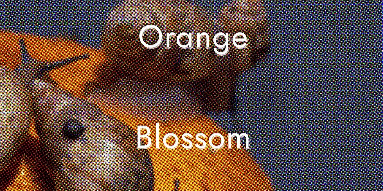 Faculty Academics Purchase College