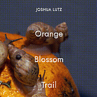 Orange Blossom Trail by Joshua Lutz