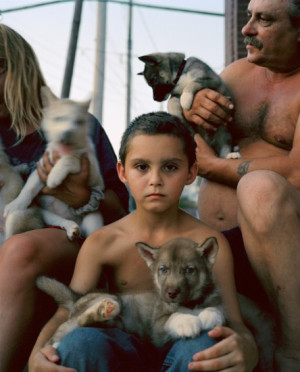 Photograph of boy surrounded by dogs