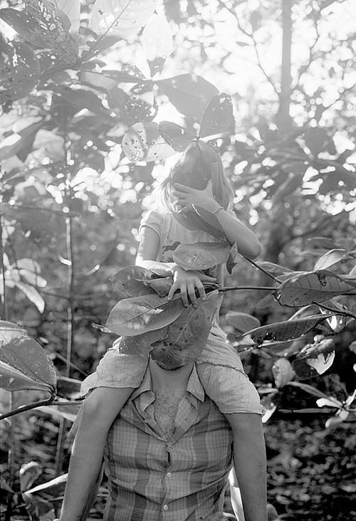 Nicholas Muellner, Untitled, from In Most Tides an Island, 2017