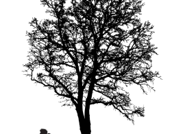 Artwork for 5 Paces.  Black silhouette of tow people sitting under a tree against a white background.