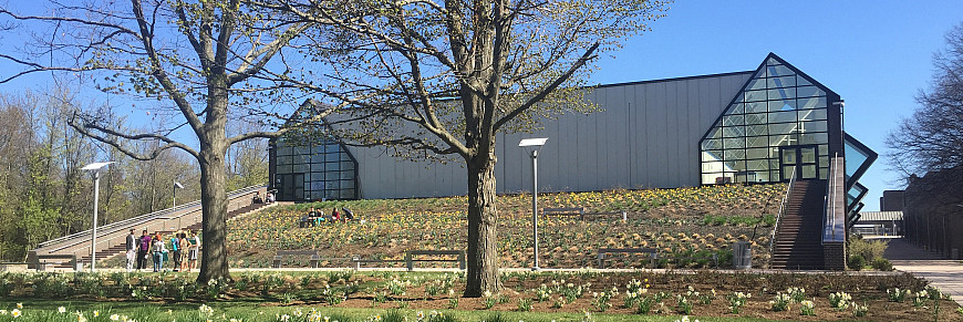 Building in the distance, blue sky, flowers and trees in foreground