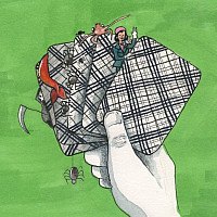 Hand holding a deck of cards.