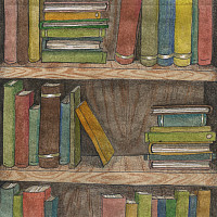 Colorful books on a wooden shelf.