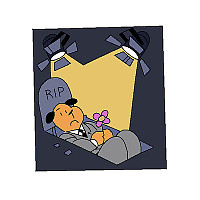 Dog with open eyes in an open coffin.
