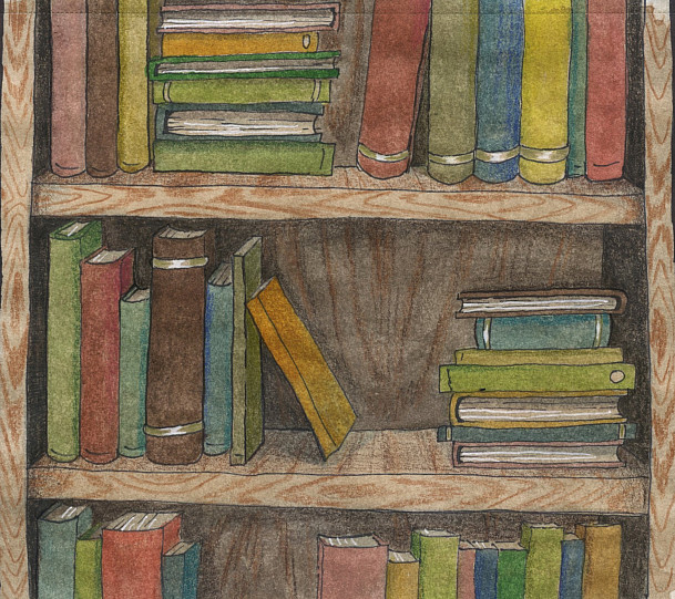 Colorful books on a wooden shelf.