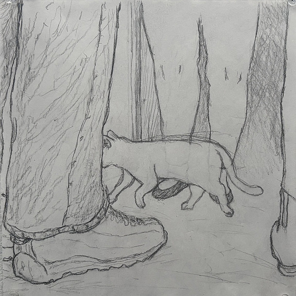 Pencil sketch of a cat.