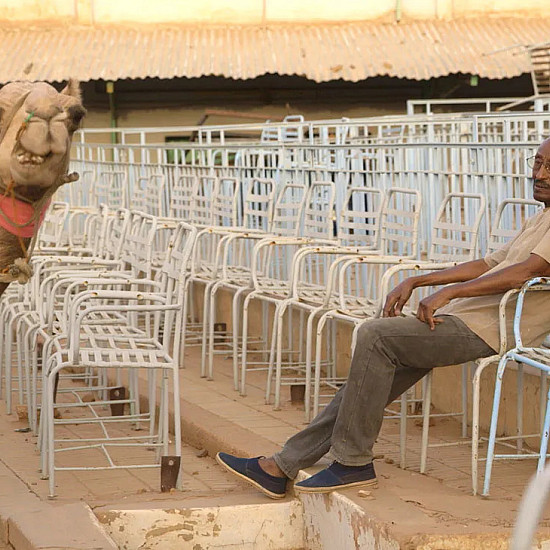 A man sitting on the right side of a frame next to rows of empty seats. Left side of the frame features a camel looking at the camera.