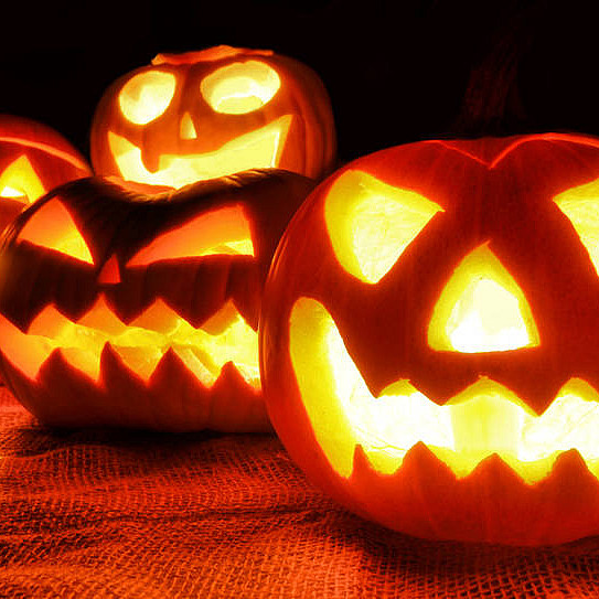 Four jack-o-lanterns face towards the camera each with different carved faces. Two with scary faces, one frightened and one smiling.