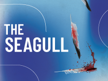 Seagull poster image