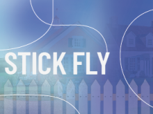 Stick Fly poster