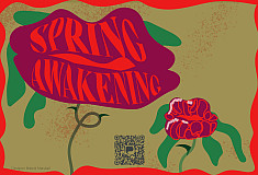 Spring Awakening artwork
