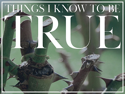 Things I Know to be True poster image with green background and thorns