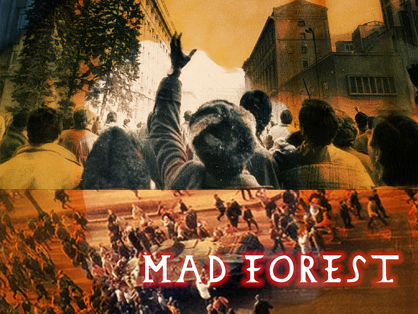 Mad Forest Poster Image