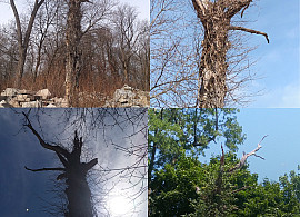 Maass Gallery-Emily Janowick: Long Walk-Windgate Artist-in-Residence-Reception:8/26, 6 pm-On View: 8/26-9/23
