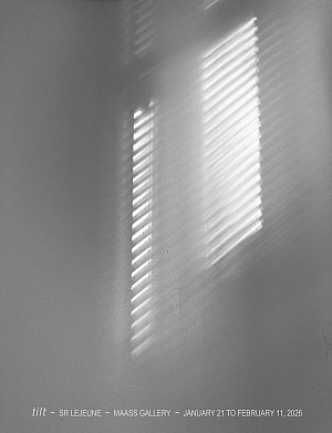 shadow and light from window blinds cast on wall