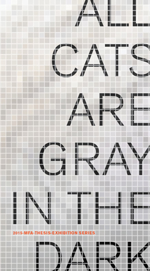 All Cats Are Gray in the Dark: MFA Thesis Exhibition Series