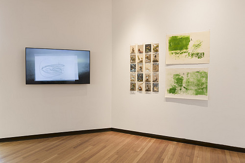 SUNYP MFAfall2025 14.JPG