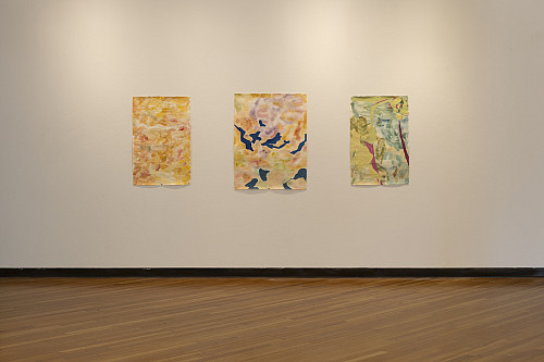 SUNYP MFA2 2026 01.JPG