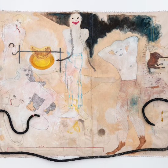    The 750 Mile Snake, 2024, Graphite, Wax Pastel, Acrylic, Rubber, and Embroidery On Canvas, 74 H x 100 W x 3 D in. 