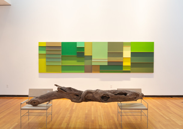 Install shot of SV Randall's exhibition: if the husk is habitable. Featuring green and waiting...