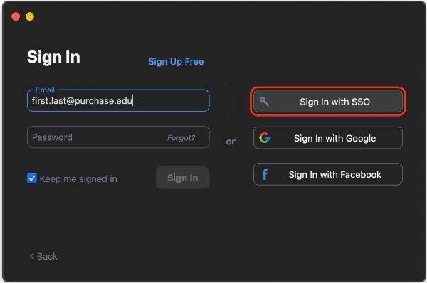 Zoom single sign on via client email address