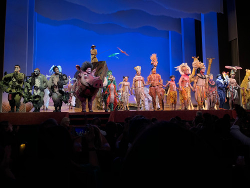 Miranda Cuellar ’20: The Lion King on Broadway 04