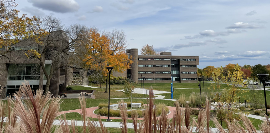 View from Central of the Quad, D-Hall, and Farside in the distance