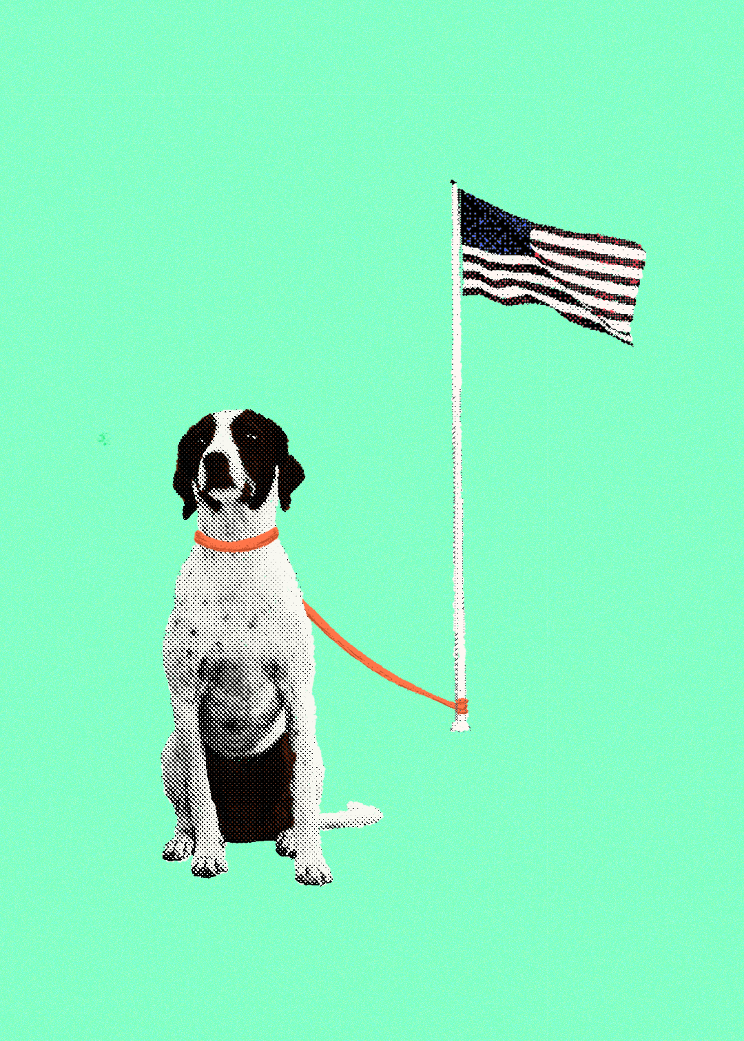 The Dog Always Die, editorial collage, 15x21, 2020
