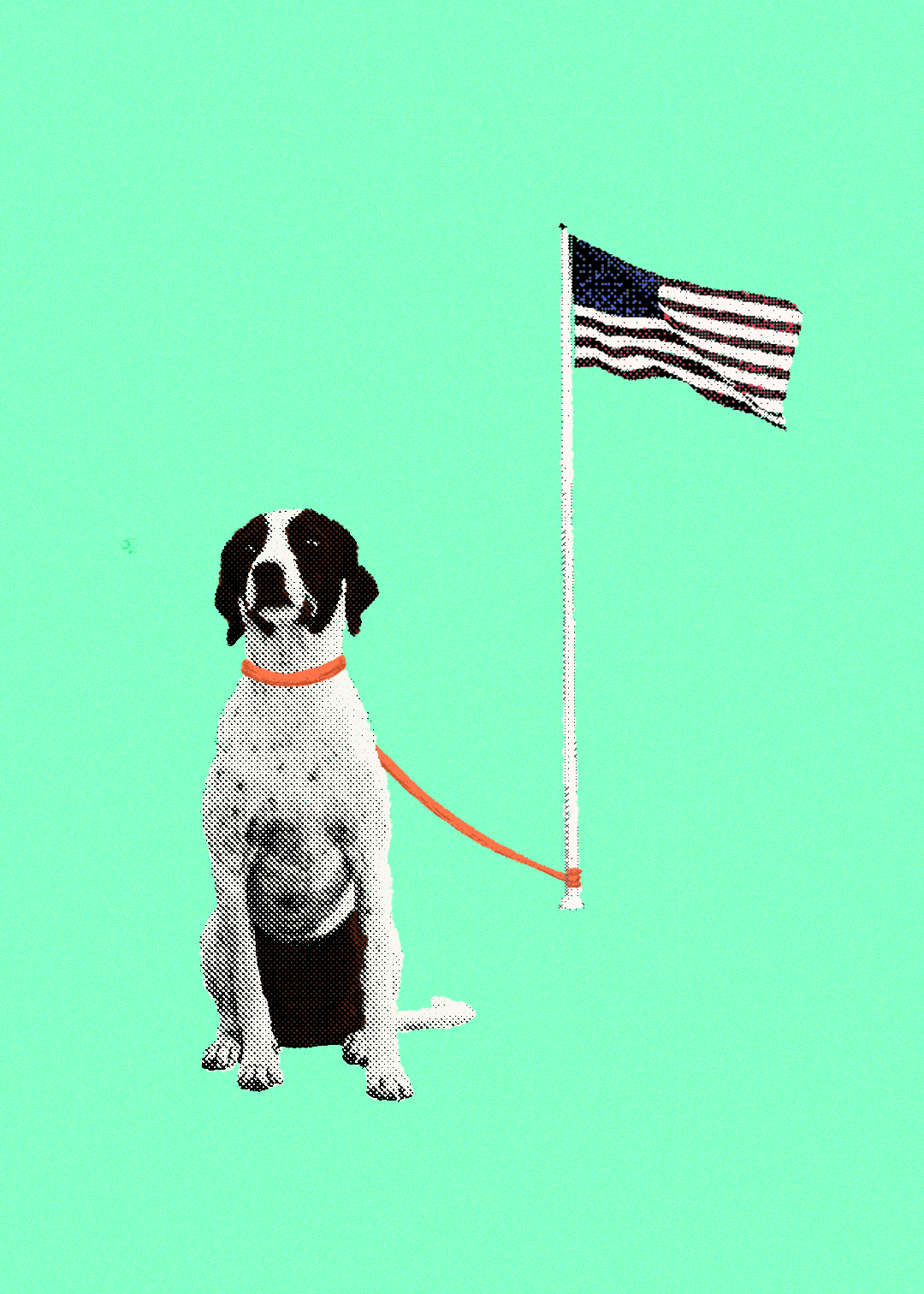 John Bradford, The Dog Always Die, 2020, editorial collage, 15 x 21 ©John Bradford