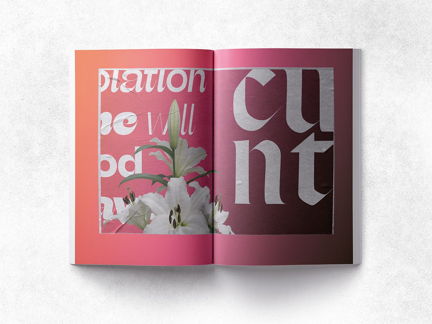Cunt collective, magazine, 8.5x11, 2019