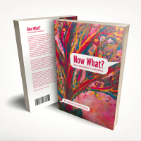 Now What? New Designer's Nosedive, 2020, Printed book, 9 x 6