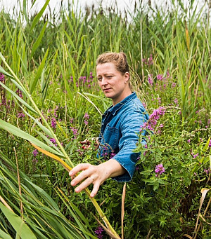 Lily Bruder-Zal harvesting flowers on Vanishing Point Farm.
