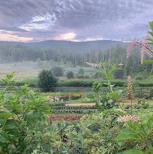 landscape from Vanishing Pt. Farm