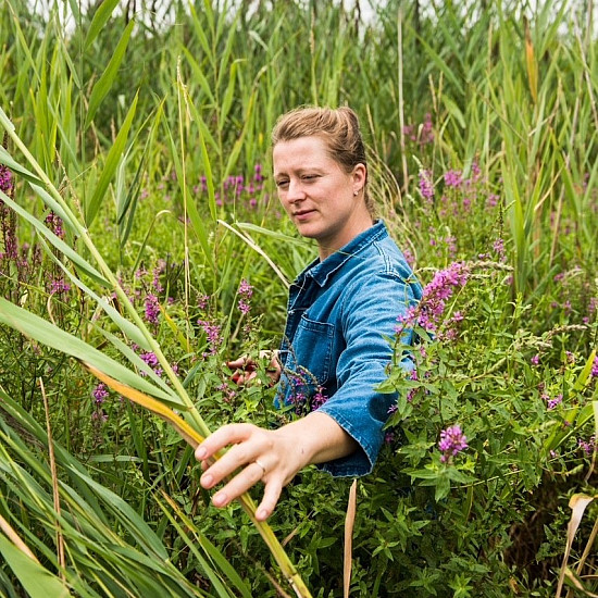 Lily Bruder-Zal harvesting flowers on Vanishing Point Farm.