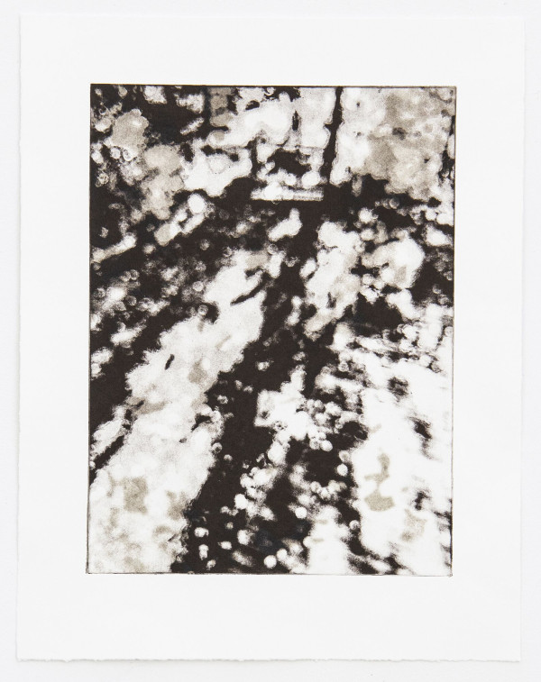 Beth Garramone-Ross, View From My Window, 2019, Two plate polymer photogravure, Hahnemühle Copper...